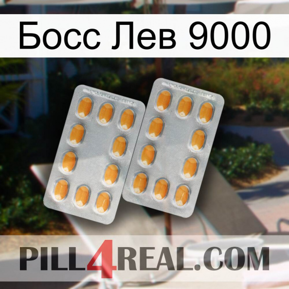 Босс Лев 9000 cialis4.jpg